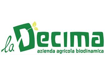 Logo la Decima